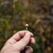 Psilocybin-assisted remedy for difficult-to-treat melancholy: underwhelming, however nonetheless important?