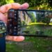 Apple Watch Compatibility Provides Vloggers Distant Management