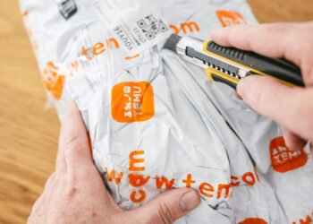 EU Fines Temu $232 Million For Promoting Unlawful Merchandise