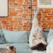 Studying: 6 Terrific Causes Why You Ought to Learn Each Day