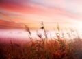 3 Issues You Have to Cease Doing to Stay a Less complicated Life