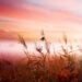 3 Issues You Have to Cease Doing to Stay a Less complicated Life