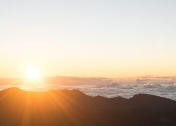 How one can Design Your Summer season