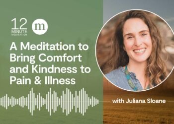 A Meditation to Carry Consolation and Kindness to Ache and Sickness