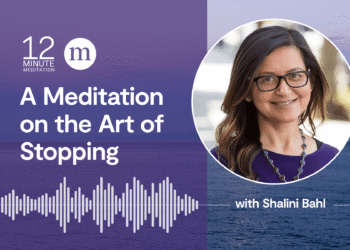 A Meditation on the Artwork of Stopping (Prolonged)
