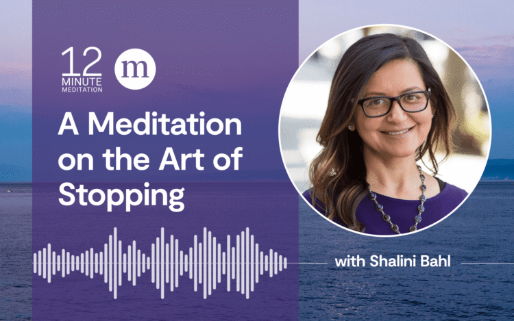 A Meditation on the Artwork of Stopping (Prolonged)