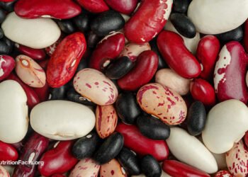 Which Beans Finest Block the Unfold of Most cancers?
