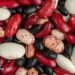 Which Beans Finest Block the Unfold of Most cancers?