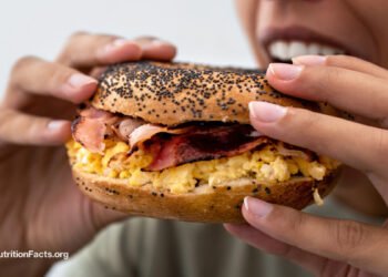 Can Extremely-Processed Meals Be Fastened by Tweaking Their Vitamins?