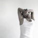 9 Indicators it’s Time to Take a Step Ahead