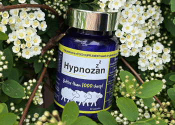 How Hypnozan Quietly Grew to become Britain’s Go-To Pure Sleep Help