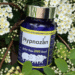 How Hypnozan Quietly Grew to become Britain’s Go-To Pure Sleep Help