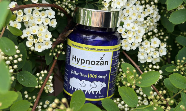 How Hypnozan Quietly Grew to become Britain’s Go-To Pure Sleep Help