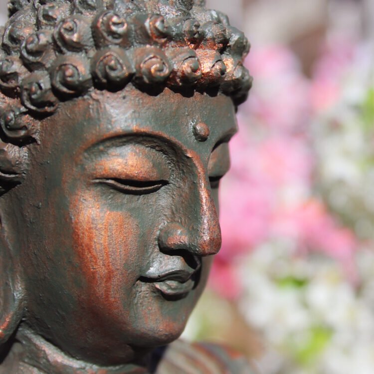 BHNN Visitor Podcast – Ep. 258- The 5 Issues That Result in Awakening with Trudy Goodman – Be Right here Now Community 2026
