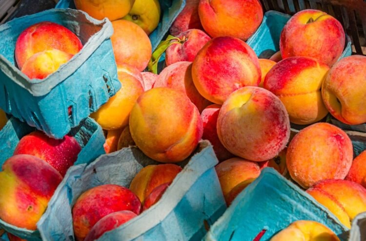 5 Well being Advantages of Peaches