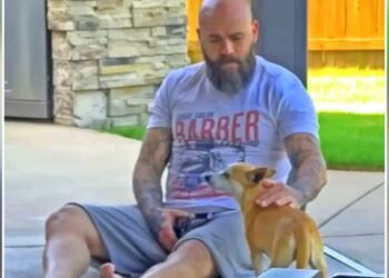 Canine Chooses Household After Heartbreaking Loss