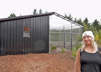 She escapes poisonous marriage and homelessness earlier than constructing a secure haven for household and girls in want