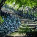 Mindrolling with Raghu Markus – Ep. 649 – The Alchemy of Compassion & Equanimity with Joseph Goldstein & Noah Markus – Be Right here Now Community 2026