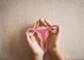 The Vaginal Well being Increase and Why It Issues