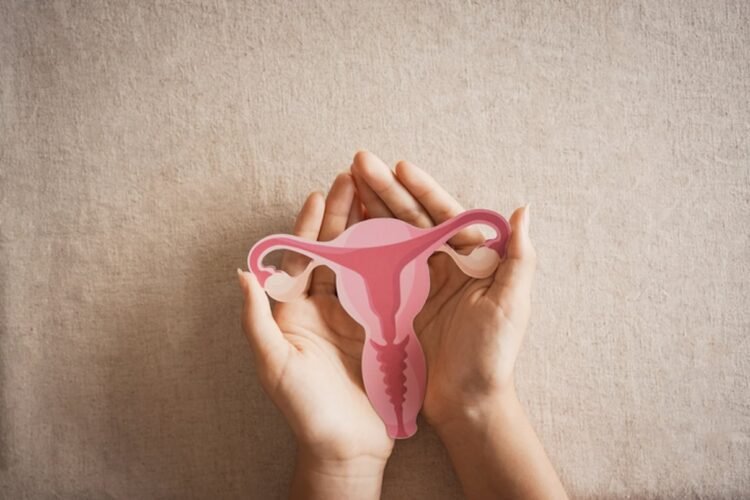 The Vaginal Well being Increase and Why It Issues