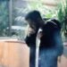 10 Delicate Micromovements That Reveal Nervousness’s Early Indicators in Adults
