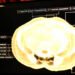 Midjourney, The AI Picture Generator, Is Growing A Full-Physique Ultrasonic Scanner