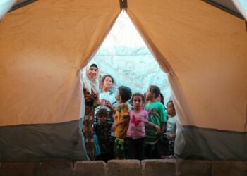 The impression of immigration detention centres on kids’s psychological well being