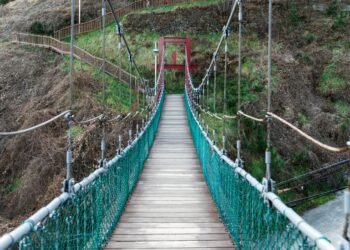 from CAMHS to grownup psychological well being companies