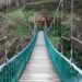 from CAMHS to grownup psychological well being companies