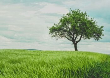12 Issues 90 Years of Knowledge Taught Me About Happiness and Life