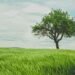 12 Issues 90 Years of Knowledge Taught Me About Happiness and Life