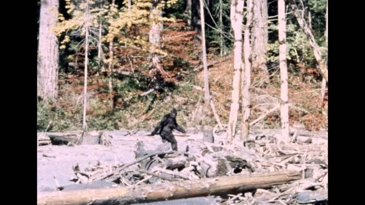 Why the Mysterious Yowie Nonetheless Fascinates Me