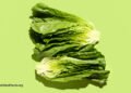 A Shocking Vegetable Method to Insomnia