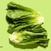 A Shocking Vegetable Method to Insomnia