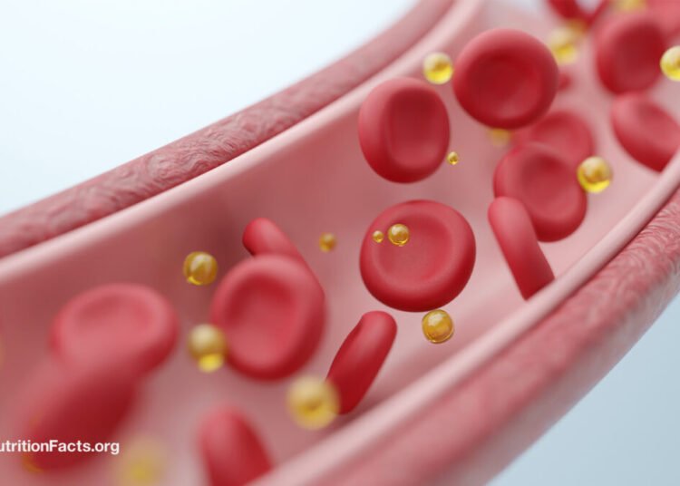 How a Single Meal Can Cripple Your Arteries and Lungs