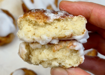2-Ingredient Excessive-Fiber Donut Holes [low-cal + sugar-free] • Wholesome Helper