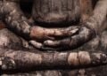 The Origins and Historical past of Mindfulness