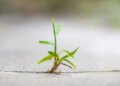 How one can Be Extra Resilient in On a regular basis Life