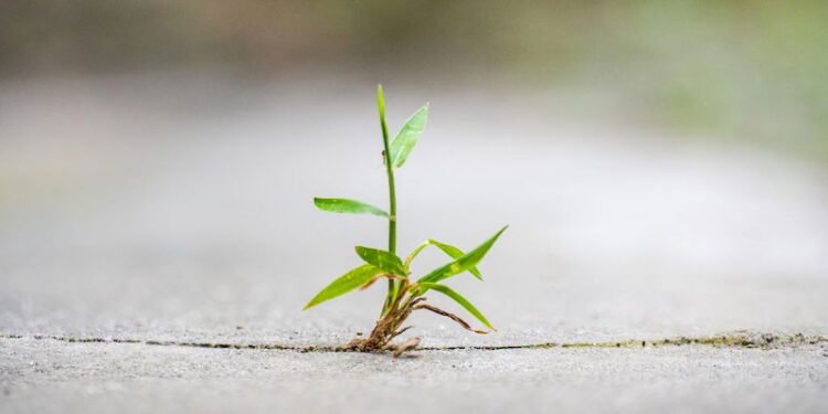 How one can Be Extra Resilient in On a regular basis Life