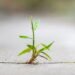 How one can Be Extra Resilient in On a regular basis Life