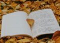 How one can Begin Journaling: A Newbie’s Information