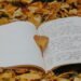 How one can Begin Journaling: A Newbie’s Information