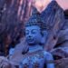 Coronary heart Knowledge with Jack Kornfield – Ep. 328 – Spirit Rock’s New Stupa Half 2: Remembering Who You Are