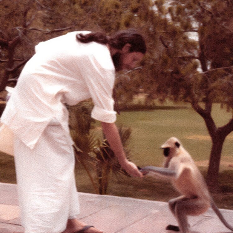 Pilgrim Coronary heart with Krishna Das – Ep. 194 – Selfless Service in Motion – Be Right here Now Community 2026