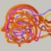 Persona, not cognition, units long-term drug customers aside