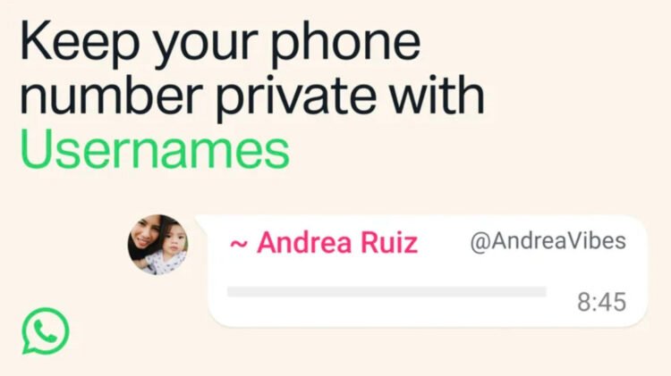 How To Declare A WhatsApp Username