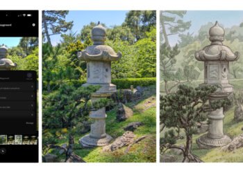 Adobe Crams A number of AI Instruments Into Its Experimental Digital camera App
