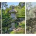 Adobe Crams A number of AI Instruments Into Its Experimental Digital camera App