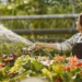 Ardour and Private Progress: A Highly effective Mixture to Grasp