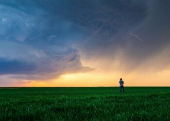Reprogramming The Panic: Selecting Aware Response Over Avoidance